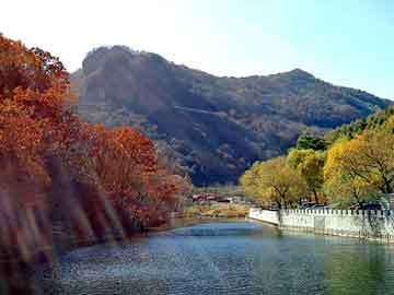 管家婆黑白马报图库，法国勃根